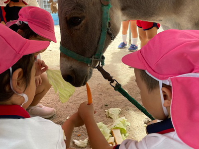 こども動物園