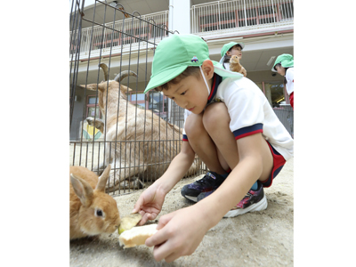 こども動物園