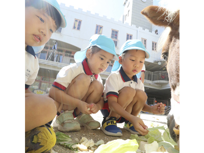 こども動物園