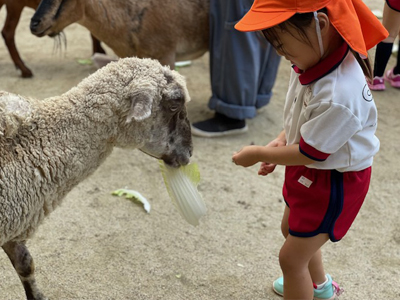 こども動物園