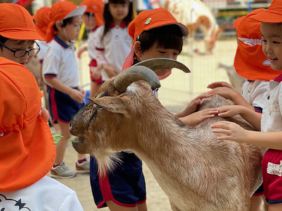 こども動物園