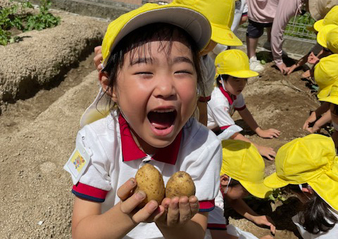 4.5.6 入園式 春の遠足 じゃかいも掘り 健康診断