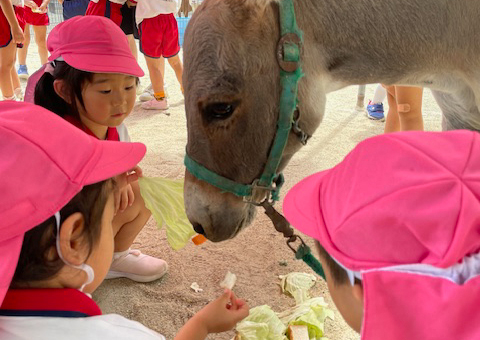 7.8.9 プール開き 七夕祭り お泊まり保育 夏期保育（プール）こども動物園